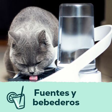 Fuentes y bebederos para perros y gatos